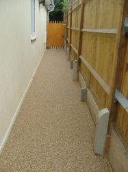 Pics Sept 2010 015